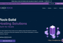 dedirock美国大硬盘VPS，$17/年，1G内存/1核/1T硬盘/2T流量/1Gbps带宽-主机介绍